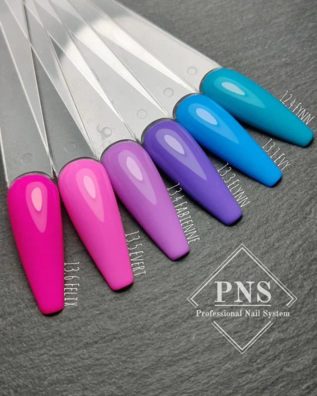 PNS My Little Polish Elynn 13.3